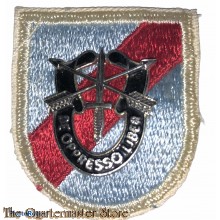 Beret flash 20th special Forces Group 