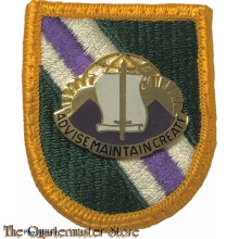Beret flash 96 C.A.Bn (Civil Affairs Battalion)  with crest