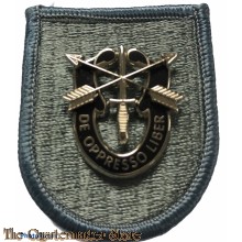 Beret flash 19th Special Forces Group with SF crest 