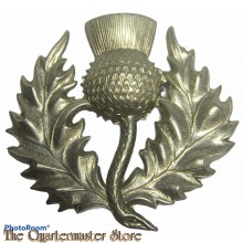 Royal Scottish Reserve Regiment Enlisted (White Metal)