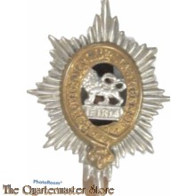 Cap badge The Worcestershire Regiment, other ranks