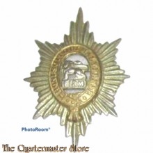 Cap badge Worcestershire and Sherwood Foresters Regiment